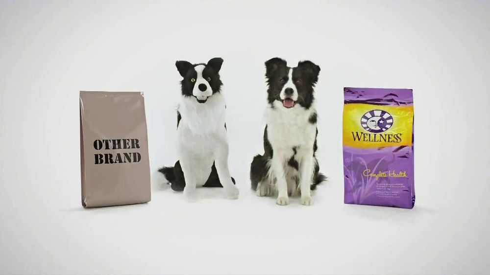 Wellness Pet Food TV Commercials iSpot.tv