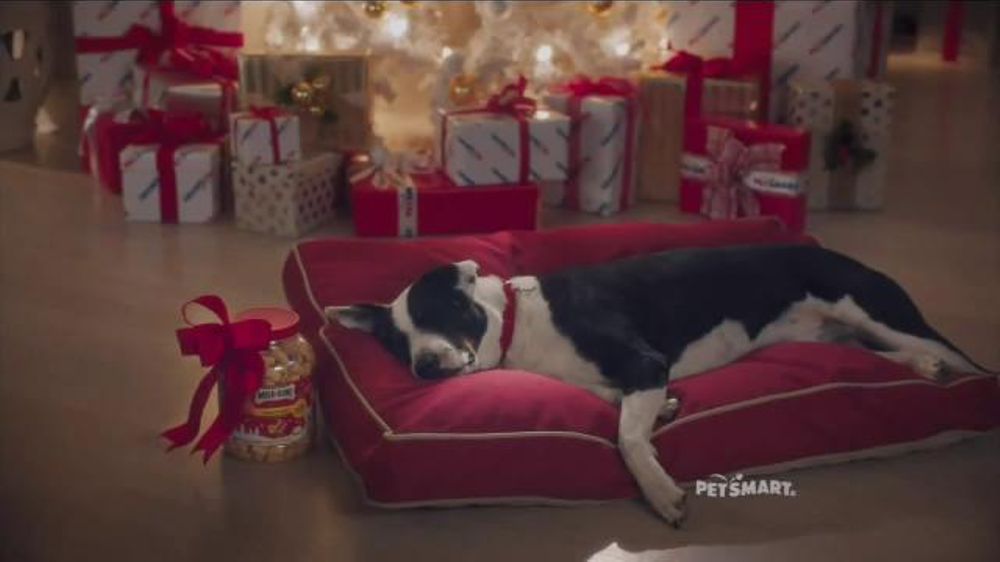 Whos The Duo Singing Petsmart Christmas Commercial 2022 Petsmart Tv Spot, 'Holiday Dreams' Song By Quee - Ispot.tv