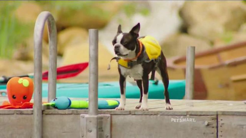 Whos The Duo Singing Petsmart Christmas Commercial 2022 Petsmart Tv Spot, 'Summer Adventures' Song By Quee - Ispot.tv