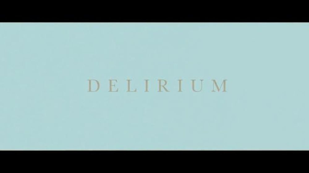 Big Lots TV Commercial, 'Black Friday Woman' iSpot.tv