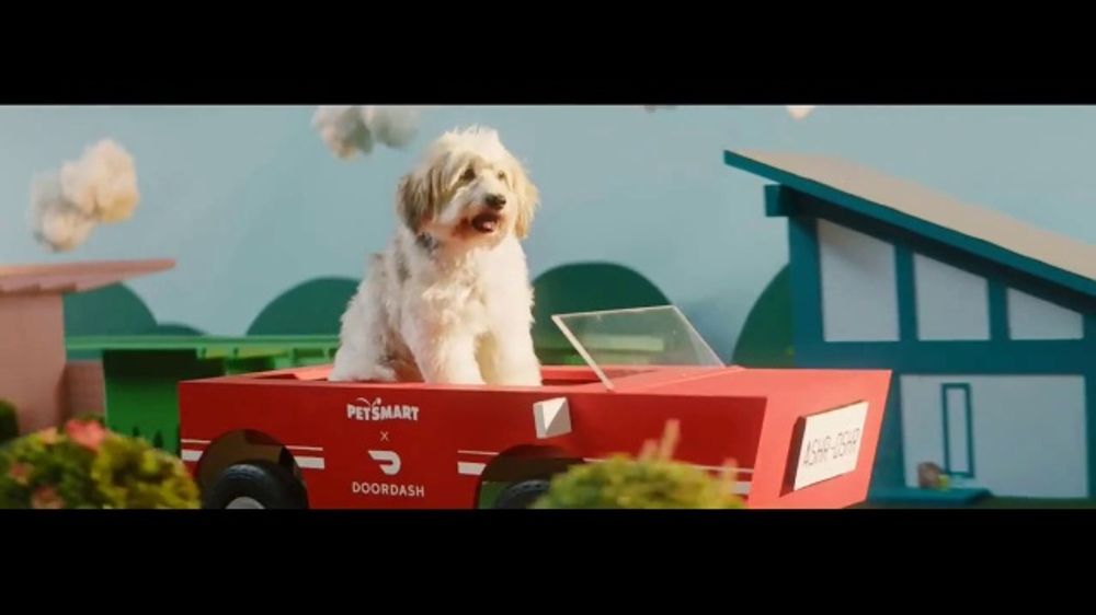 Whos The Duo Singing Petsmart Christmas Commercial 2022 Doordash Tv Spot, 'Petsmart: 20% Off' Featuring Bubba Wallace, Song By Barry Louis Polisar - Ispot.tv