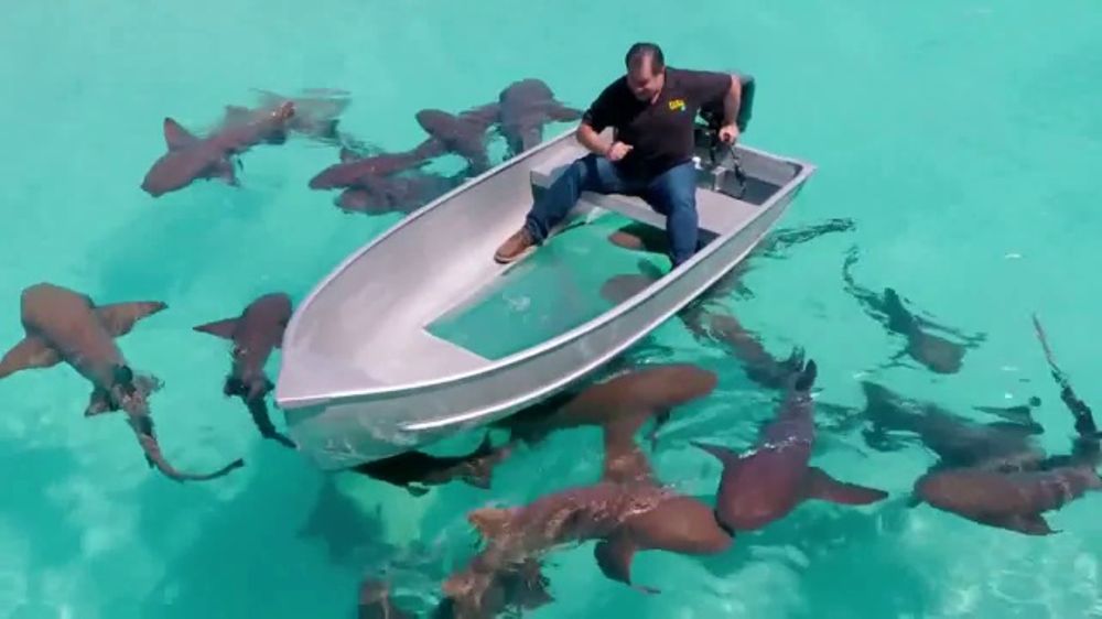 Flex Tape Clear TV Commercial, 'See Right Through' iSpot.tv