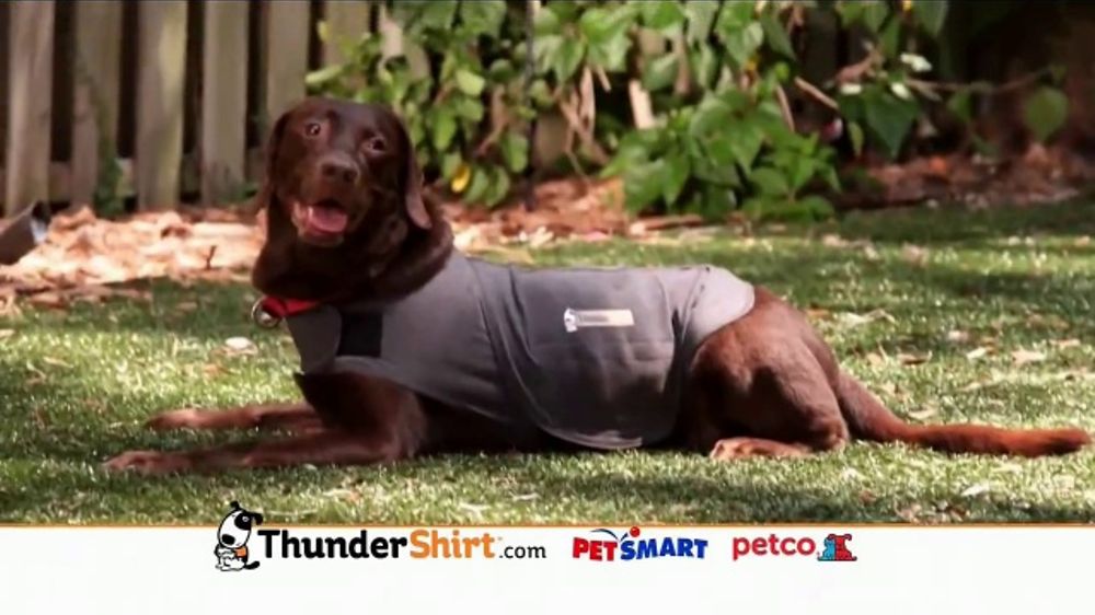 ThunderShirt TV Commercial, 'Dog Anxiety' iSpot.tv