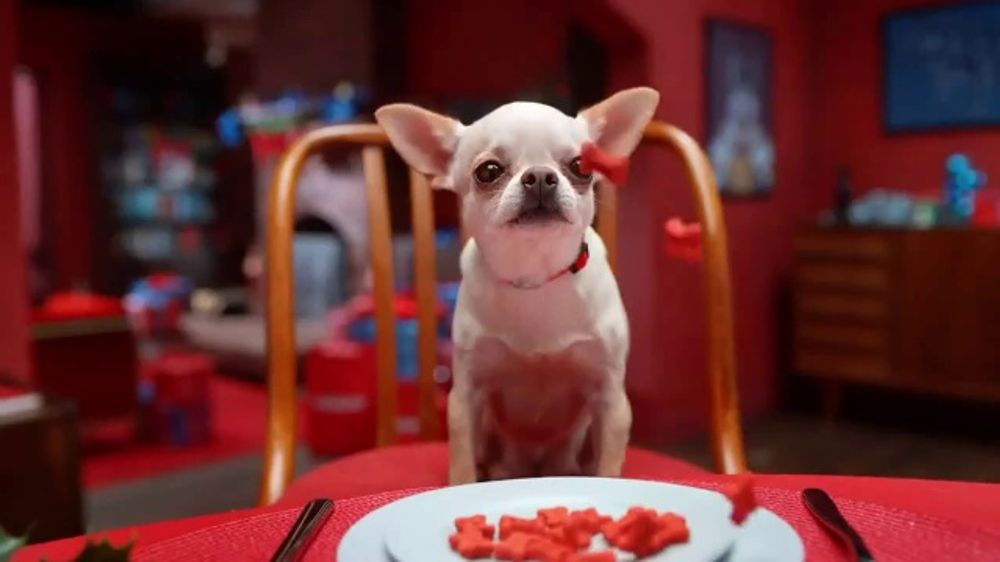 Whos The Duo Singing Petsmart Christmas Commercial 2022 Petsmart Tv Spot, 'Holidays: Season Of Spoiling Is Here' - Ispot.tv