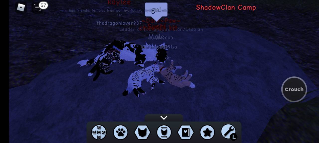 Warriors Ultimate Edition Morphs W A R R I O R C A T S U L T I M A T E E D I T I O N O C I D E A S Zonealarm Results Go To The Roblox Game To Sign Into The Discord But Make Sure You Are 13 Years Of Age roblox warrior cats roleplay