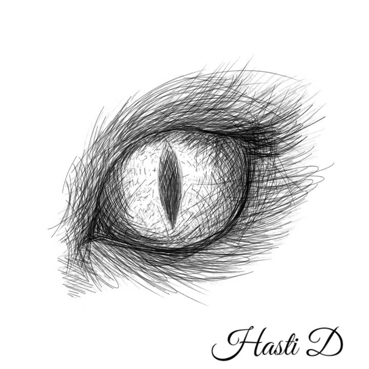Lion Eye Drawing