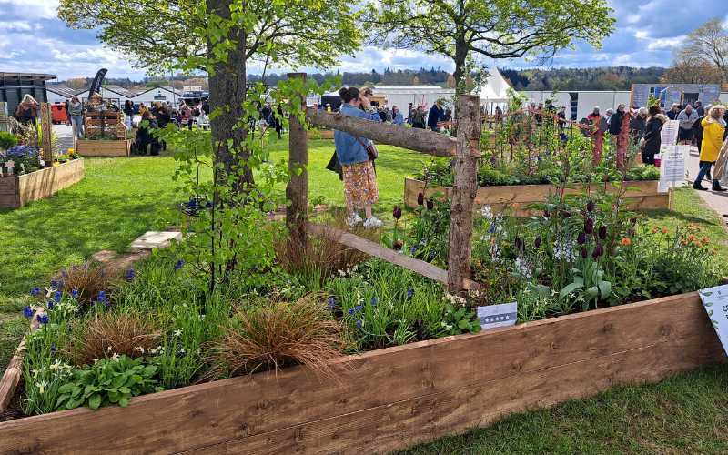 Spring 2024 Harrogate Flower Show