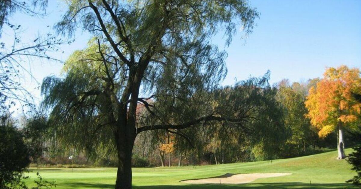 Quit Qui Oc Wednesday Spark Golf League