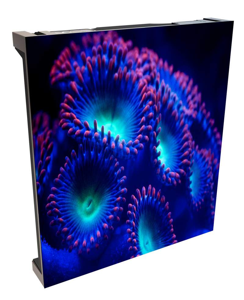 Christie Velvet CorePlus LED video wall a stunning, valuepriced solution