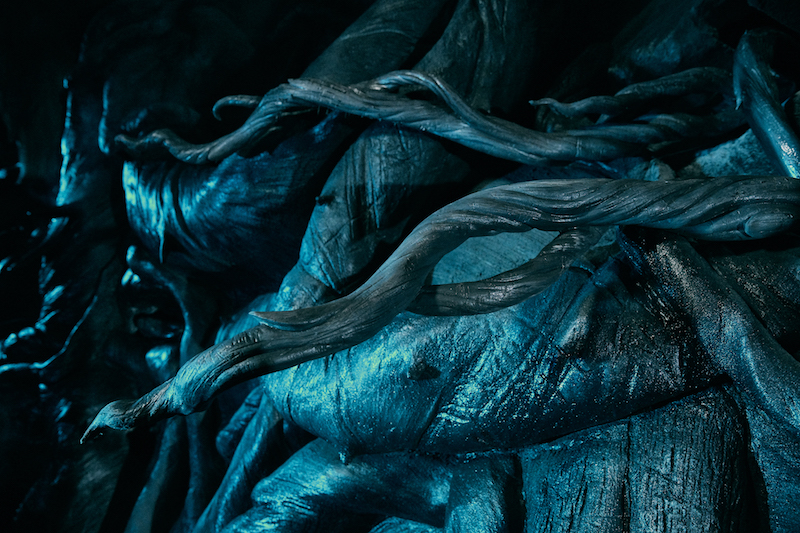 Universal unveils BlastEnded Skrewt magical creature in