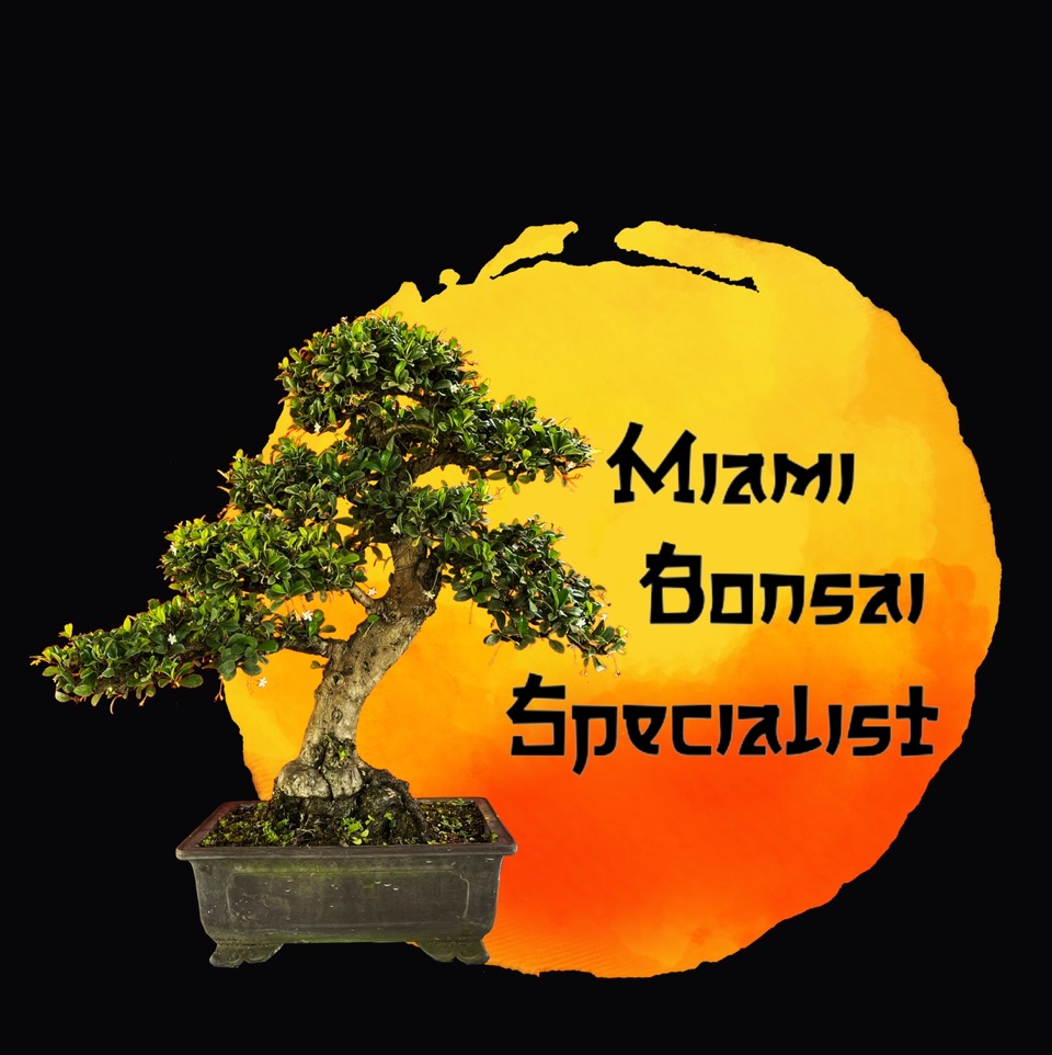 Miami Bonsai Specialist