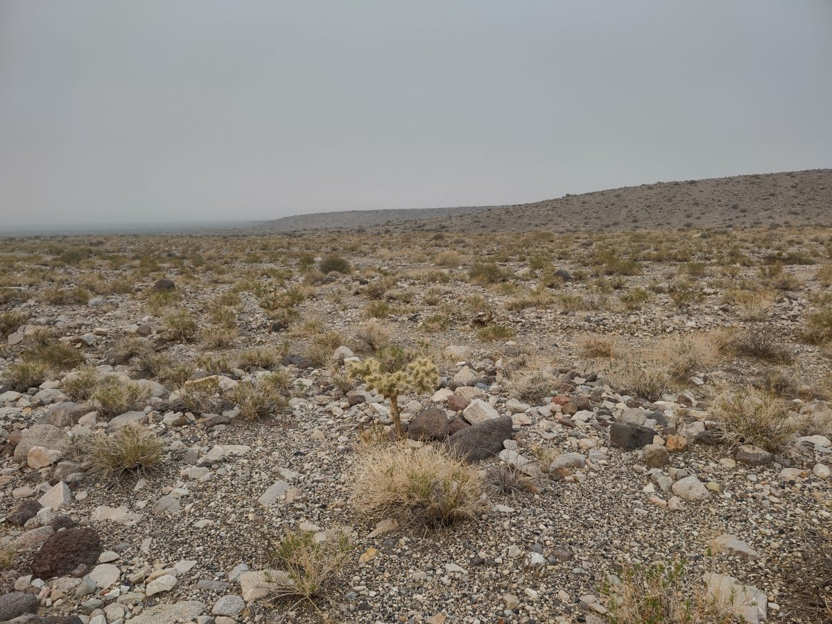 Macallan East Project Scotch Creek Ventures