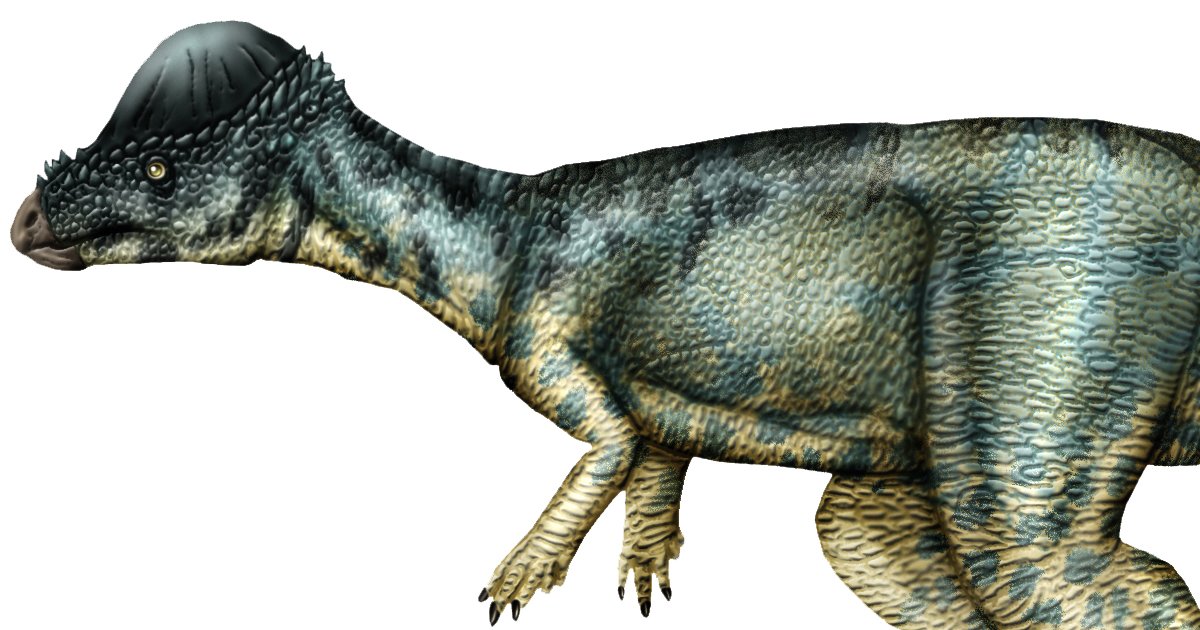 'A' Dinosaurs Quiz By C_Hasselheim