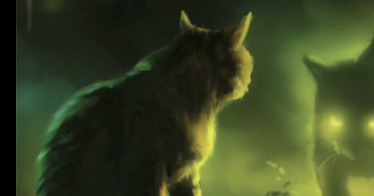Warrior Cats Prefixes That Are Also Suffixes Quiz By spiderwing21