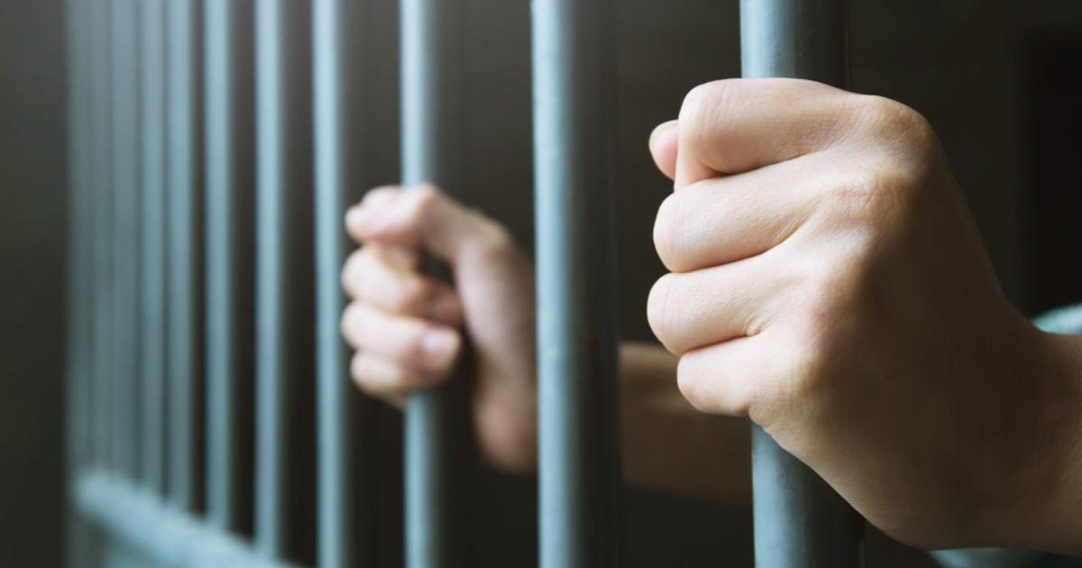 Criminal Activity Quiz