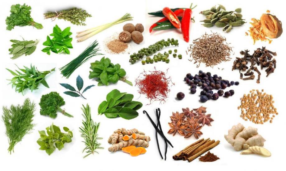 Find the Herbs and Spices in German Quiz By Slinenfest