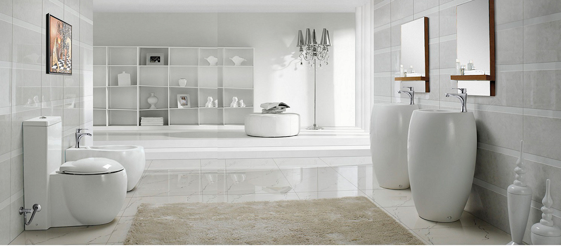 Best Bidet Toilet Combos of 2024 Here's our Favorite Pick!