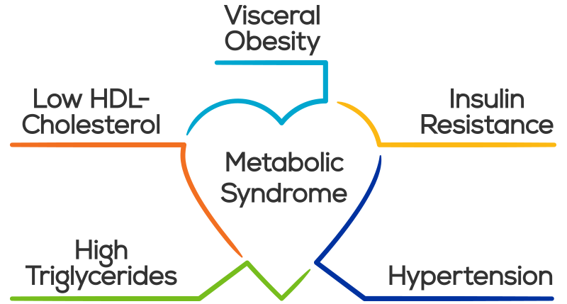 Metabolic syndrome (Syndrome X) Causes, Symptoms and Treatment