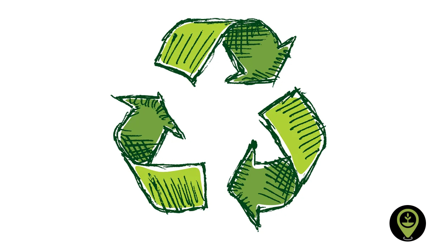 Recycling Lessons from Around the World and Addressing the Root of the