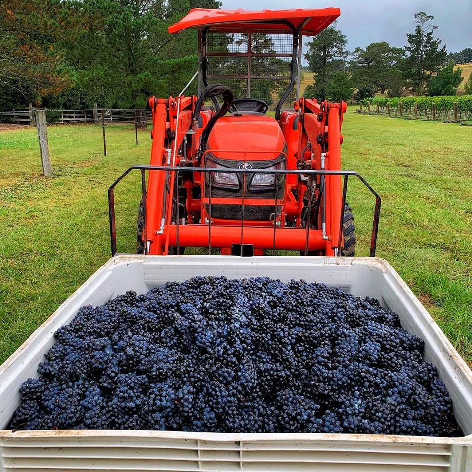 Rotherwood Estate Wines Destination Southern Highlands