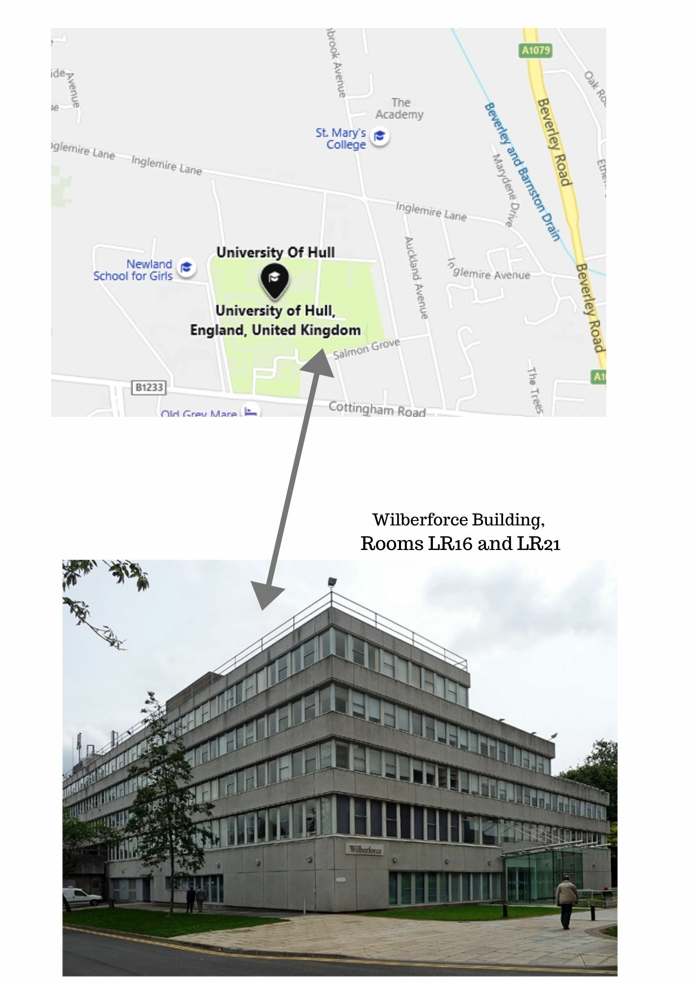 St Mary's College Latin classes for Y7 & 8 at Hull University