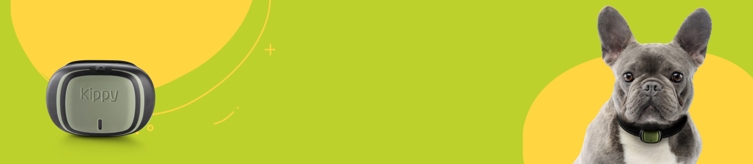 Gps per cani Cos’è, come funziona, perché acquistare un gps per cani