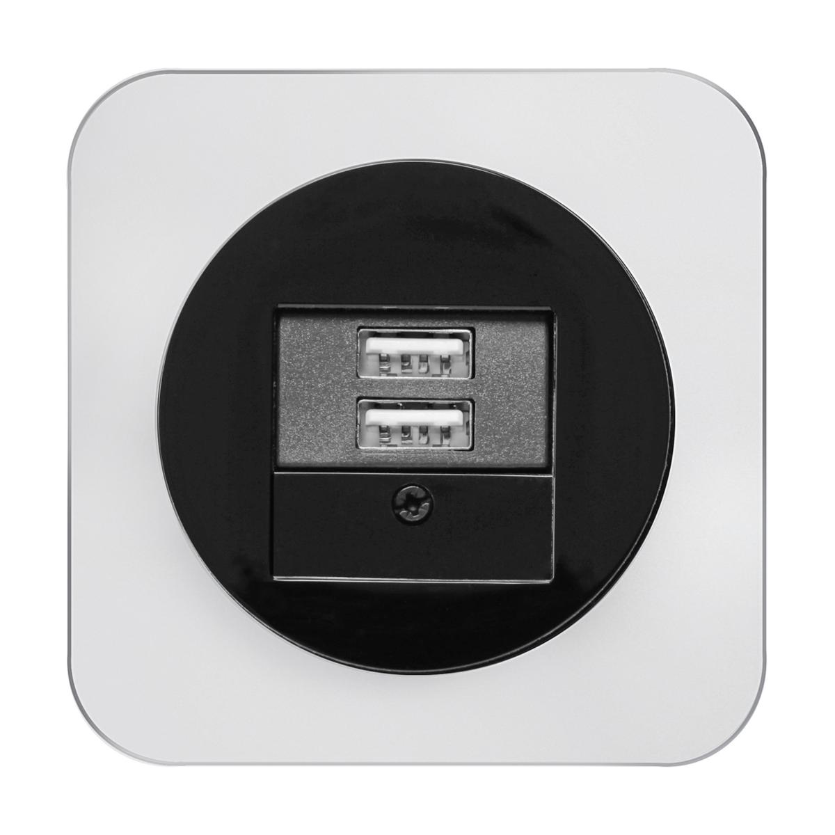Berker R.1 Gniazdo ładowania USB Hager A free BIM