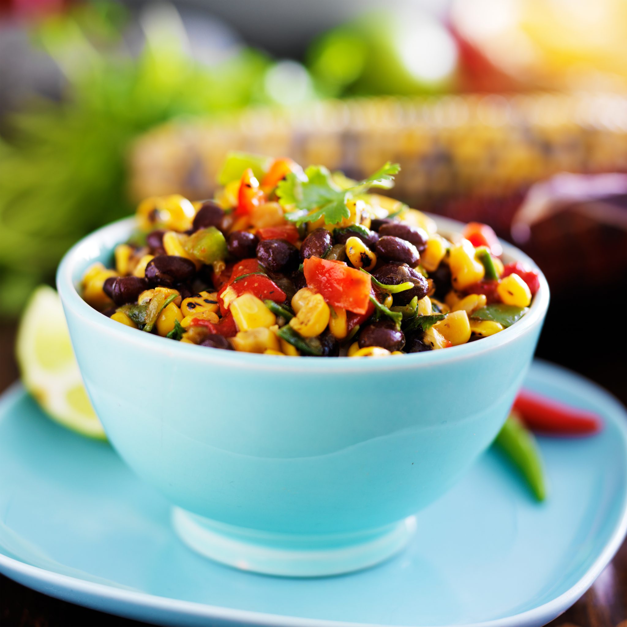 Black Bean Salsa Dip Slenderberry