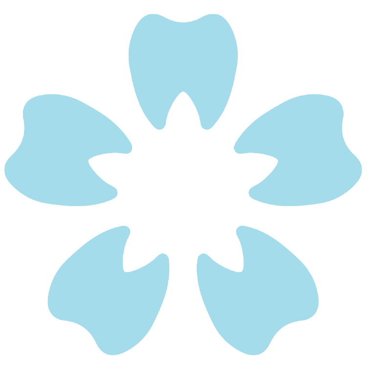 Spring Dental Mission, Benefits, and Work Culture