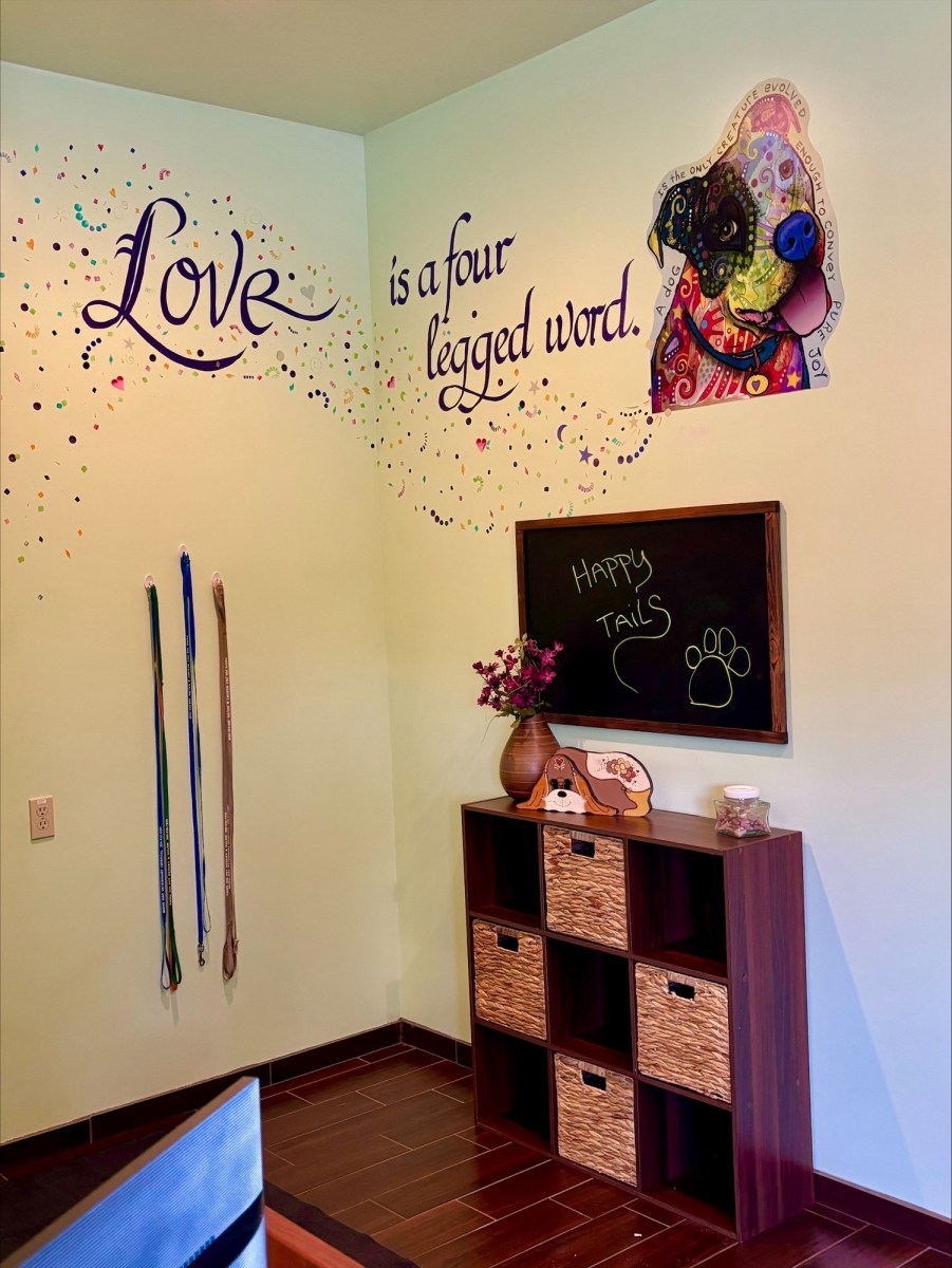 Pet Resort Gallery Pet Boarding & Resort