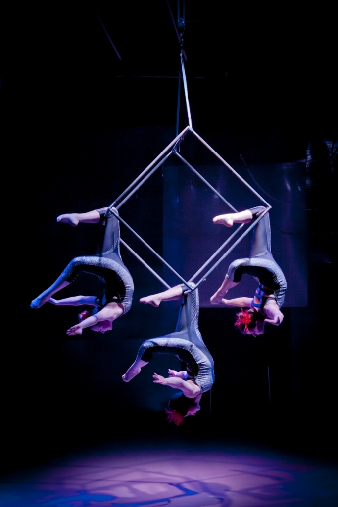 Aerials Zacada Circus School Acrobatics Classes