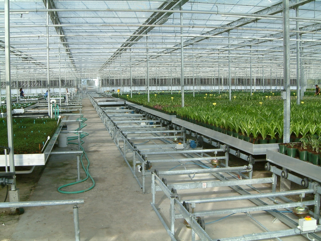 Transport Lines TAVA Systems Greenhouse Automation & Expansion