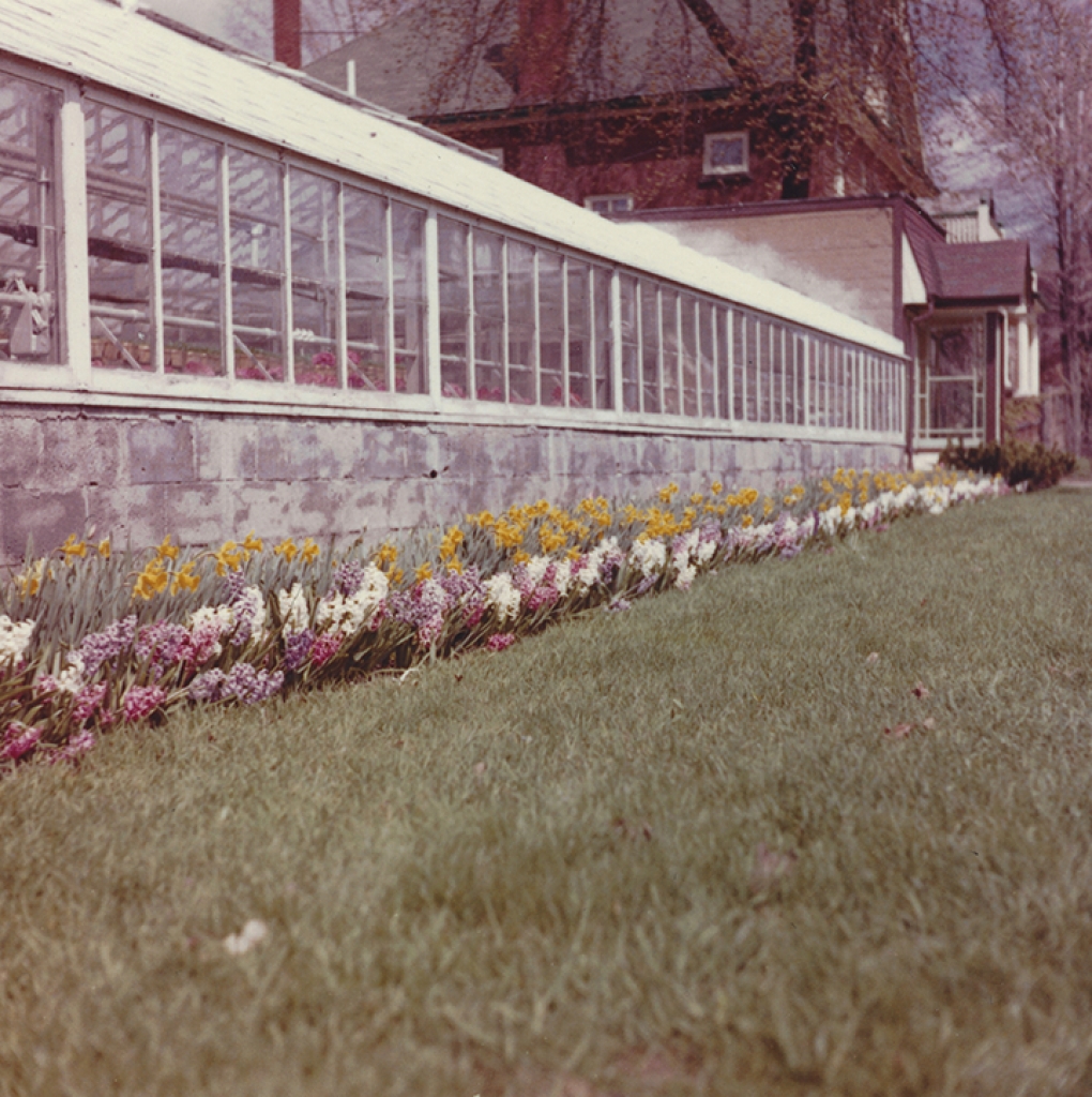 Photo Gallery Gemmell's Garden Centre Smiths Falls