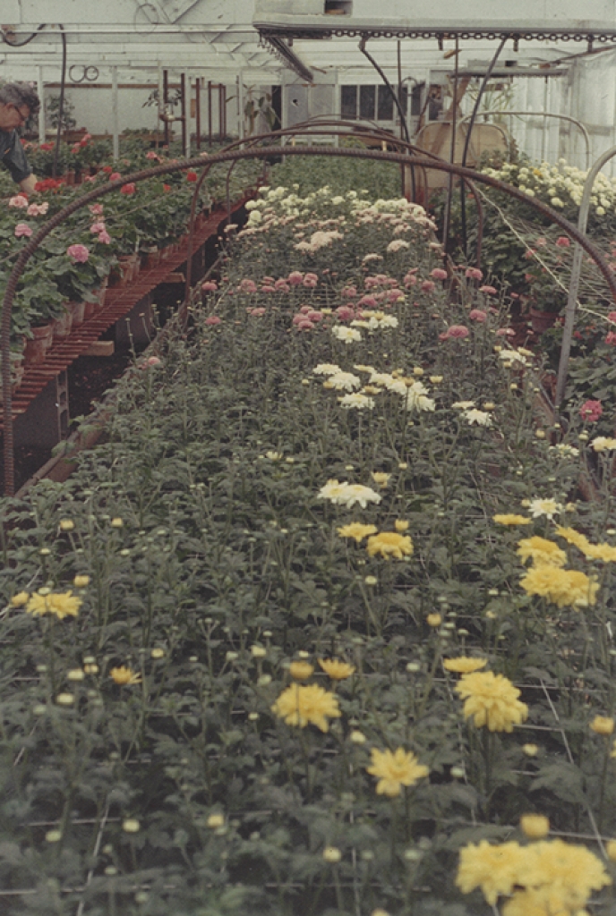 Photo Gallery Gemmell's Garden Centre Smiths Falls