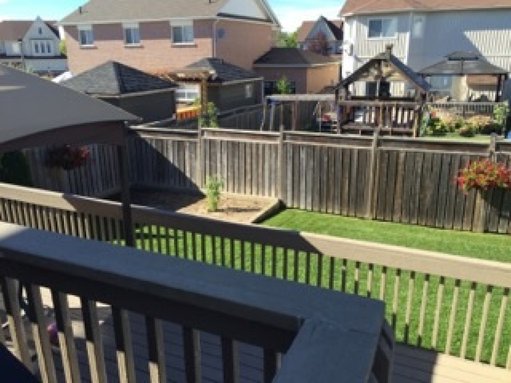 432 King St. E., Mount Albert, Ontario L0G 1M0 Blog Team Zold