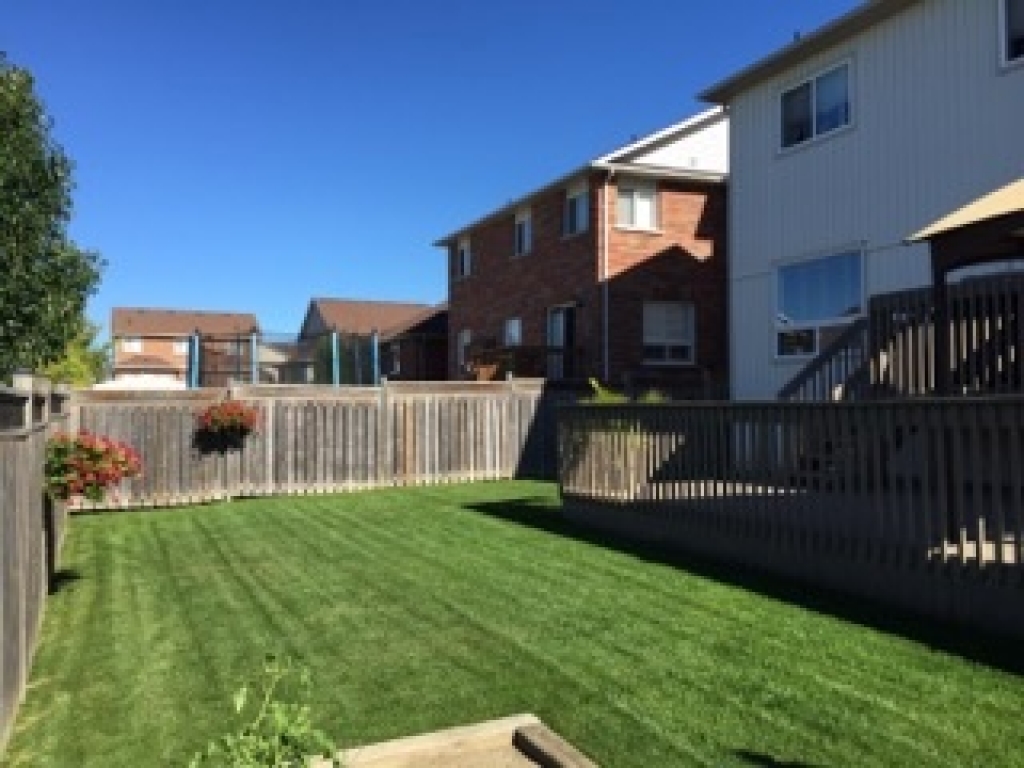 432 King St. E., Mount Albert, Ontario L0G 1M0 Blog Team Zold