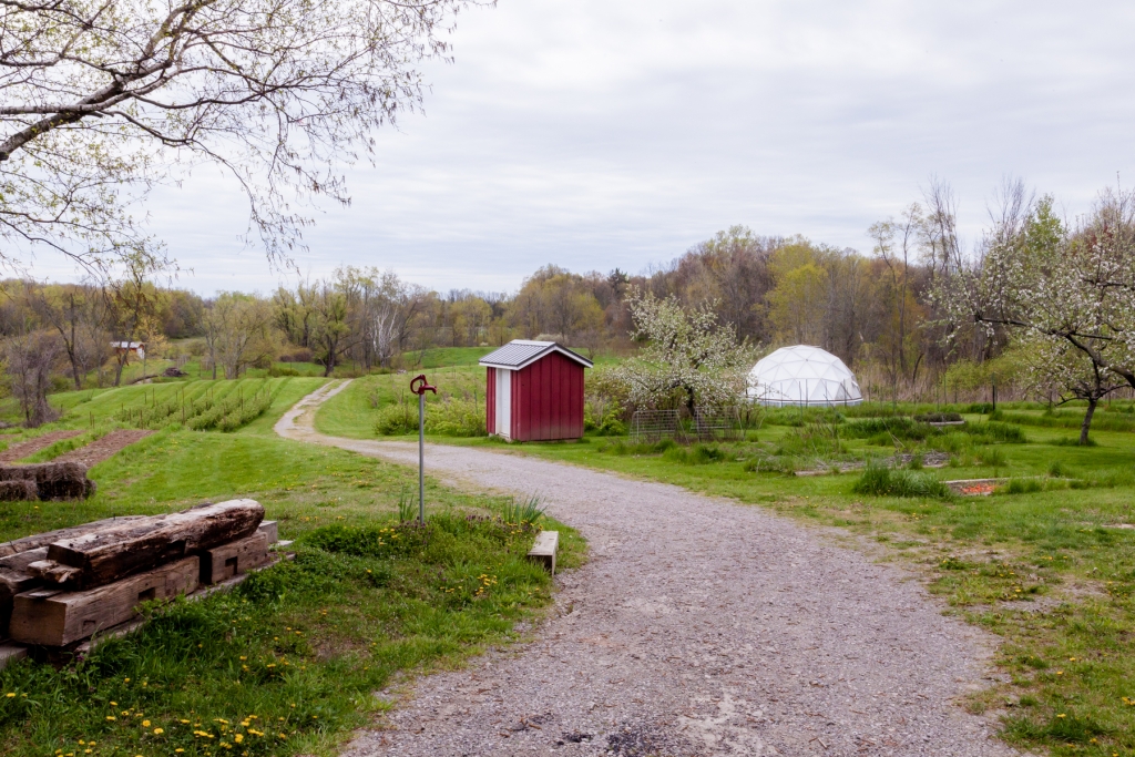 What We Do Ridge Berry Farm Niagara Tourism