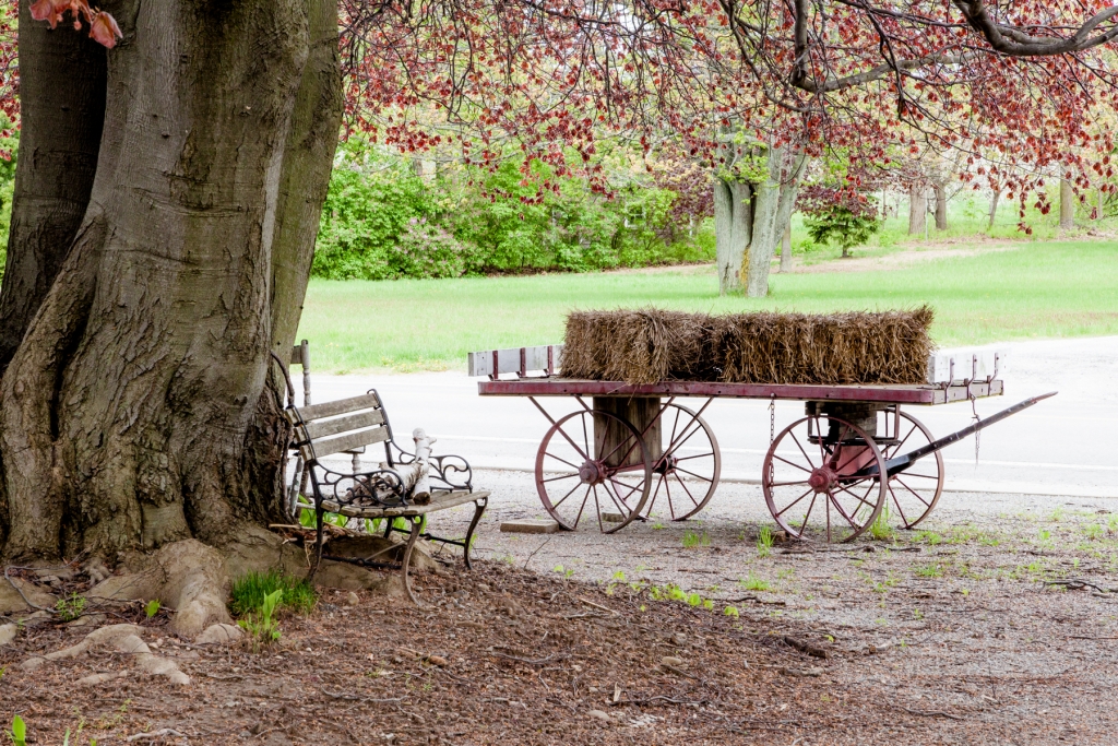 Tour Our Farm Ridge Berry Farm Niagara Tourism