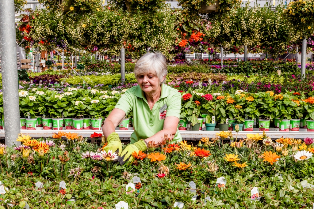 Take a Virtual Tour County Basket Garden Centre Niagara Greenhouse