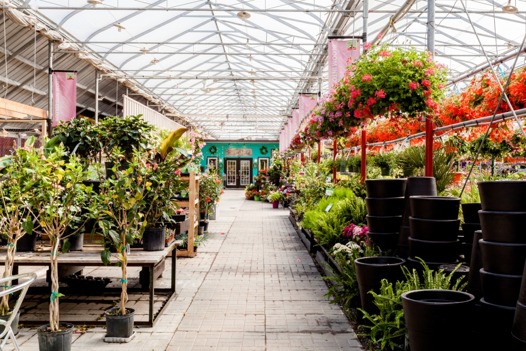 Take a Virtual Tour County Basket Garden Centre Niagara Greenhouse