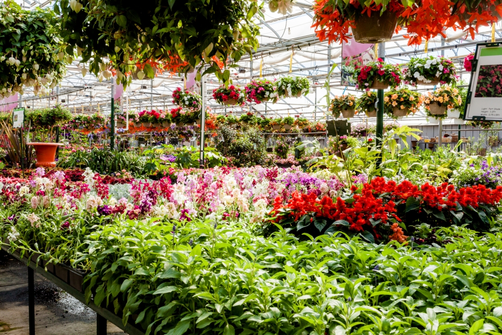 Take a Virtual Tour County Basket Garden Centre Niagara Greenhouse