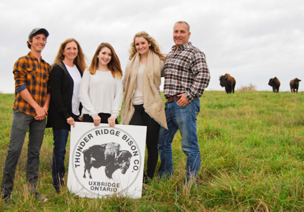 Thunder Ridge Bison Farm Uxbridge Studio Tour