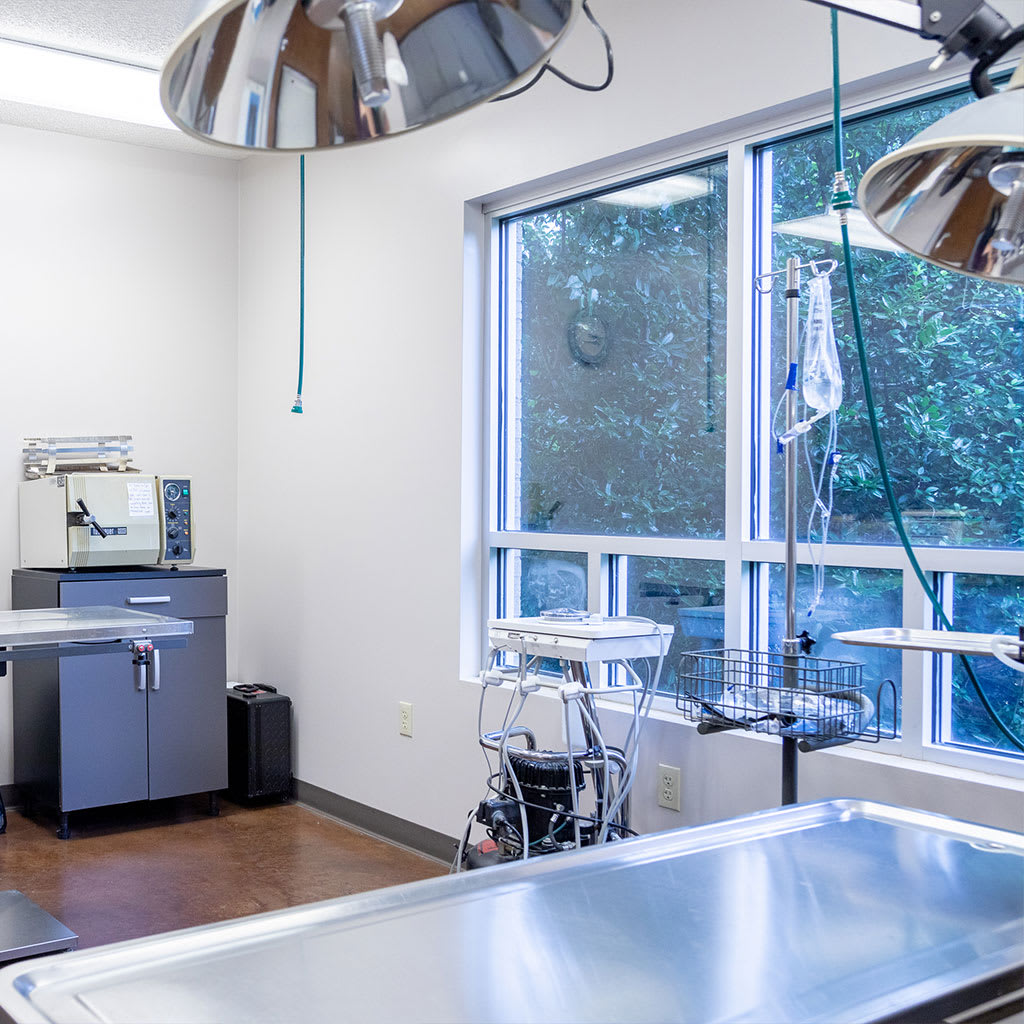 About Our Hospital Hillcrest Animal Hospital