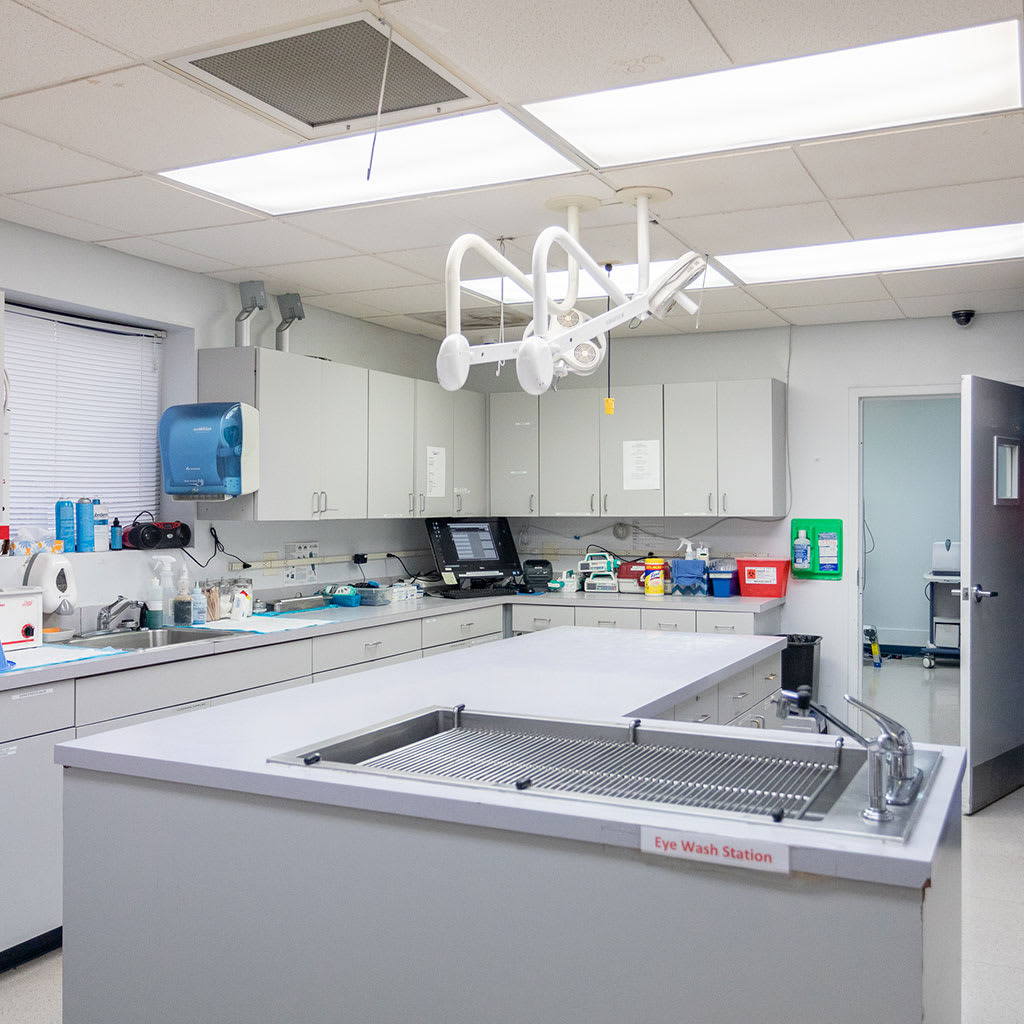 Review Of Animal Emergency Center Memphis Tn References