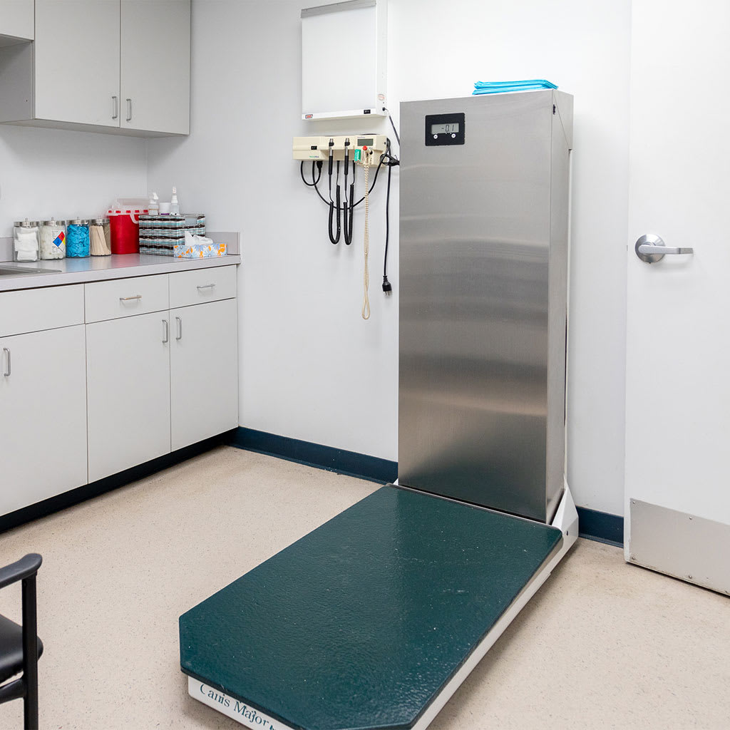 Animal Emergency Center Hospital Tour