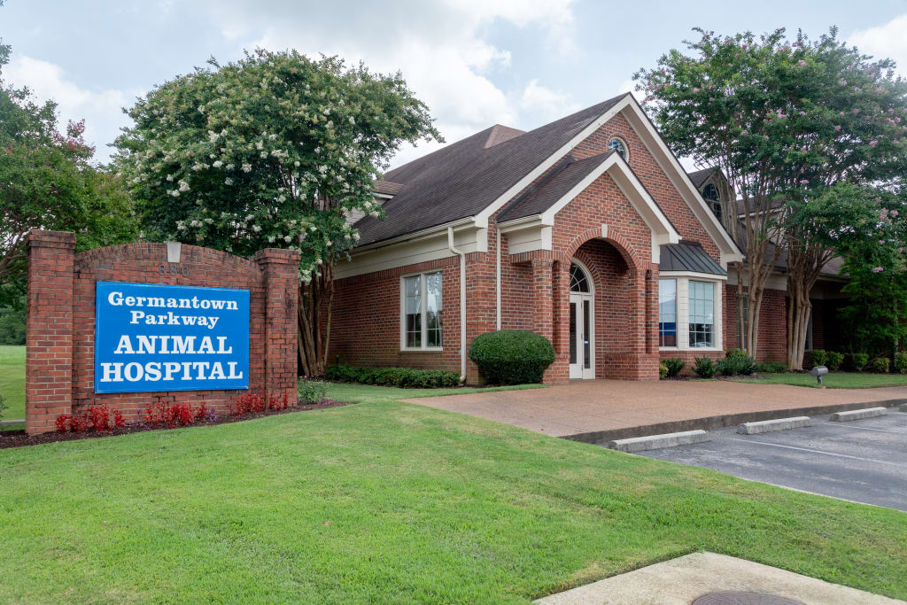 About Germantown Parkway Animal Hospital in Cordova