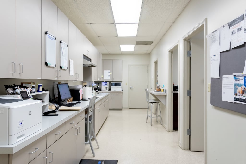 About Germantown Parkway Animal Hospital Veterinarians