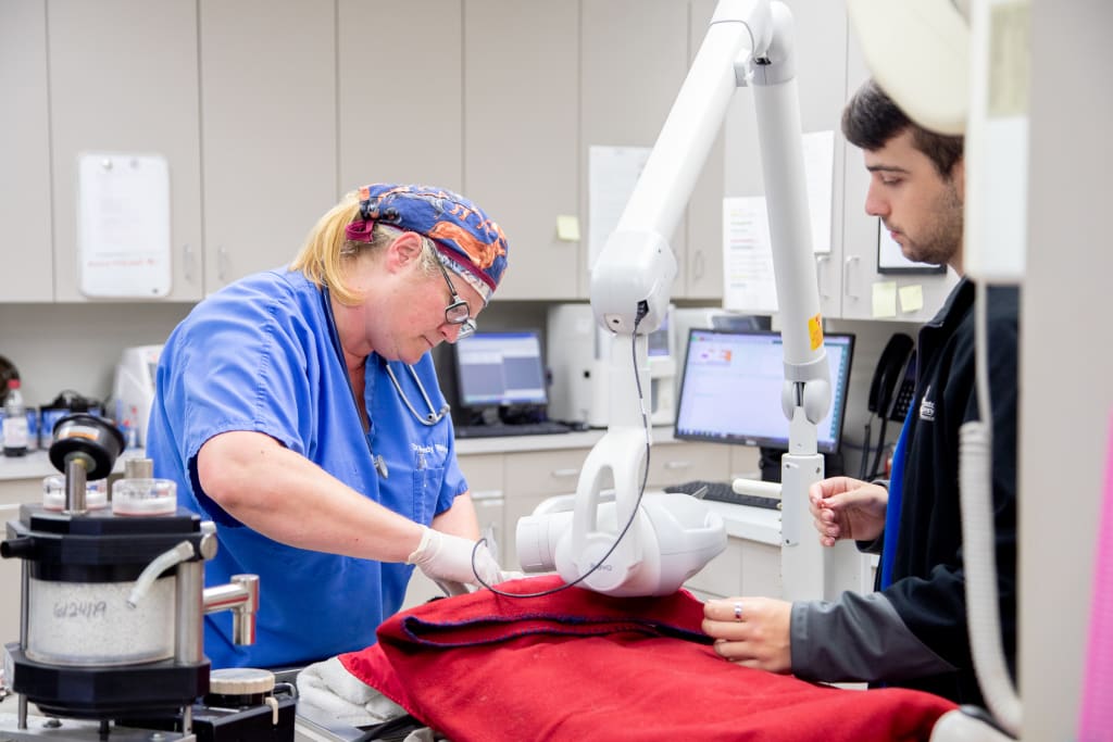 About Germantown Parkway Animal Hospital Veterinarians