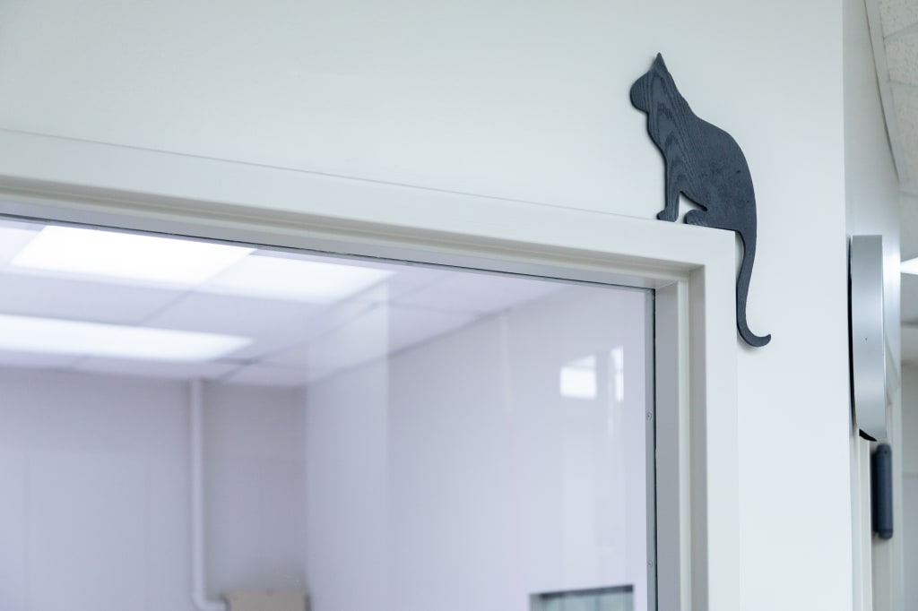 About Germantown Parkway Animal Hospital Veterinarians