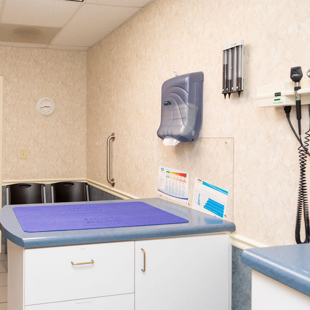 Hospital Tour Southwind Animal Hospital Memphis